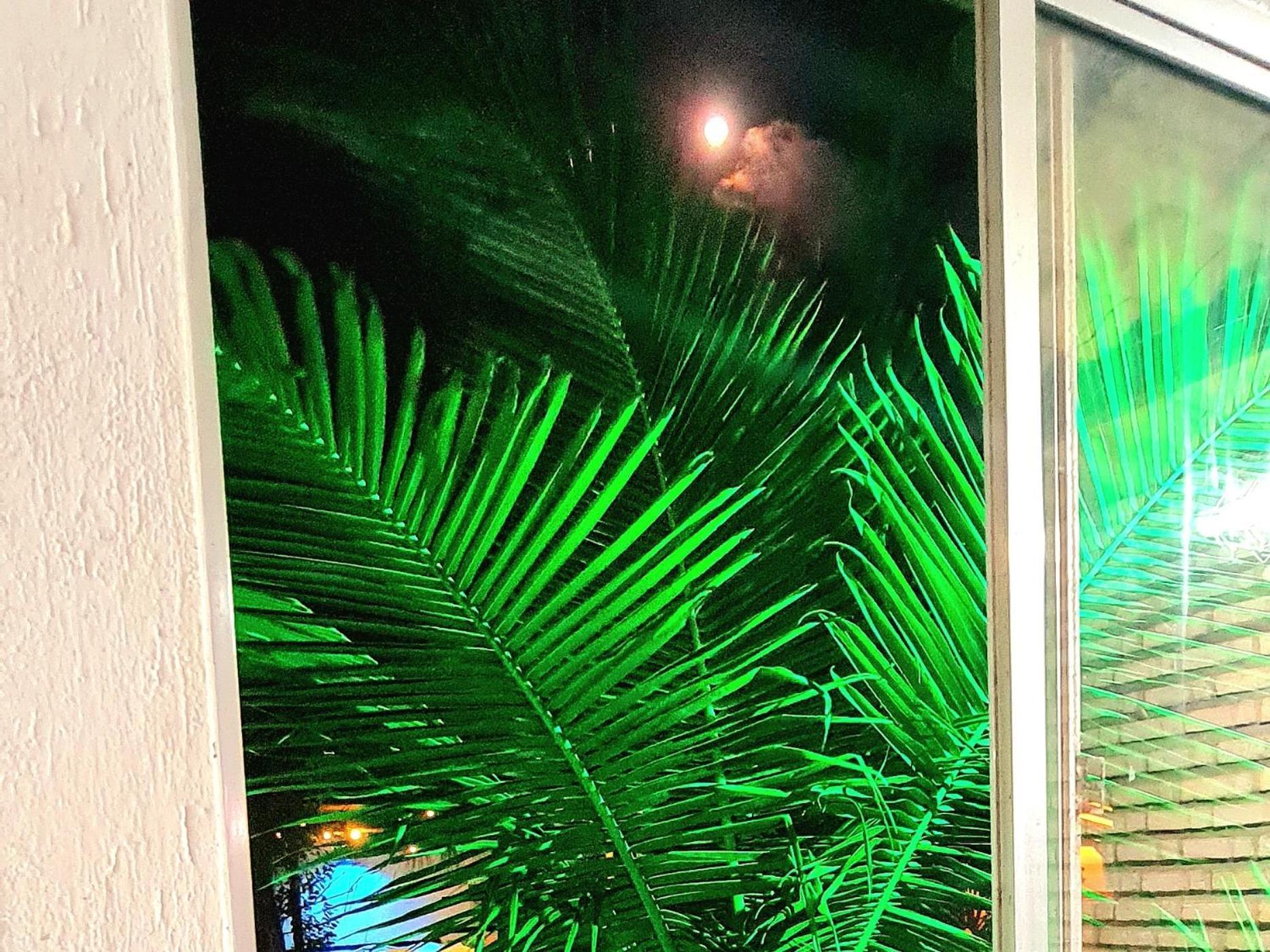 Di Pipa Rooms - Hidromassagem Externa Praia de Pipa ภายนอก รูปภาพ